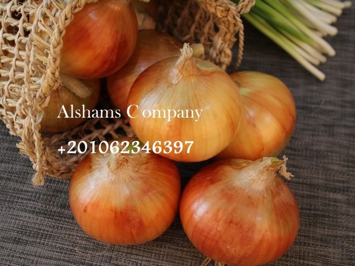 fresh onion  2
