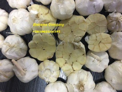 Fresh Garlic 2